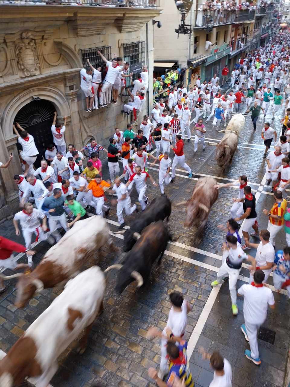 Coureurs et taureaux pendant l’Encierro de San Fermín