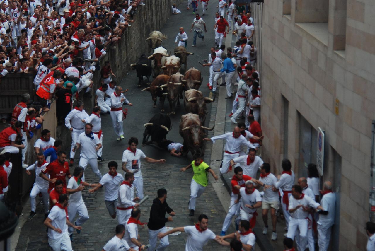 Taureaux pendant l’Encierro de San Fermín à Pampelune