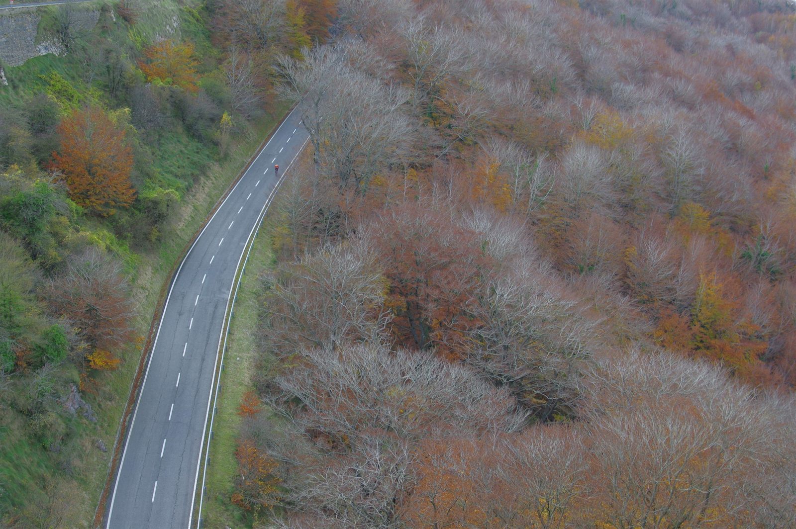 Carretera entre bosques en otoño