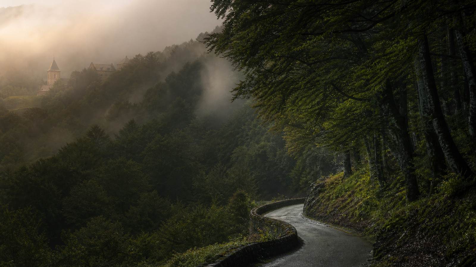 Paisaje de Navarra entre bosque, niebla y pueblo histórico