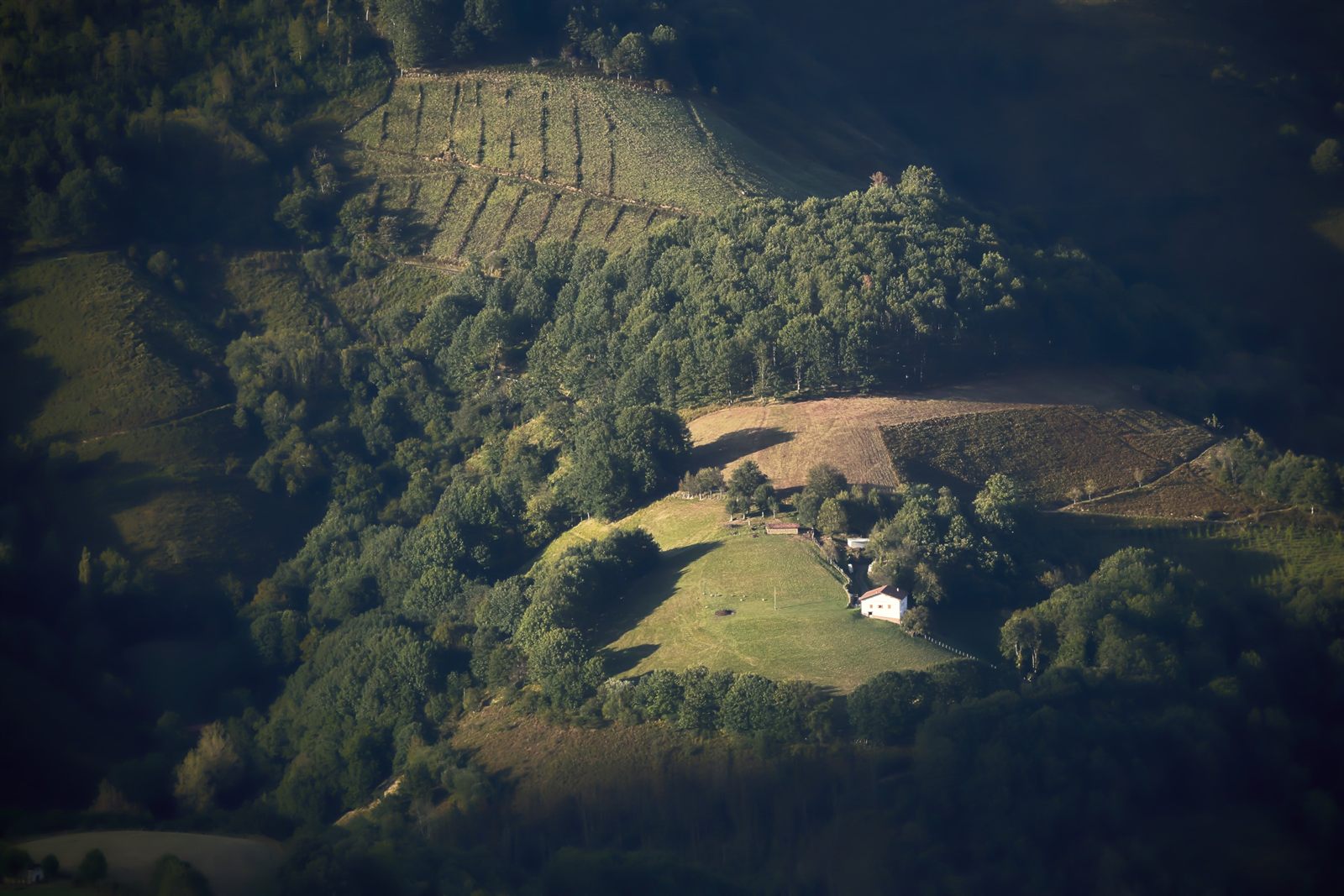 Caserío entre prados y bosques en Navarra
